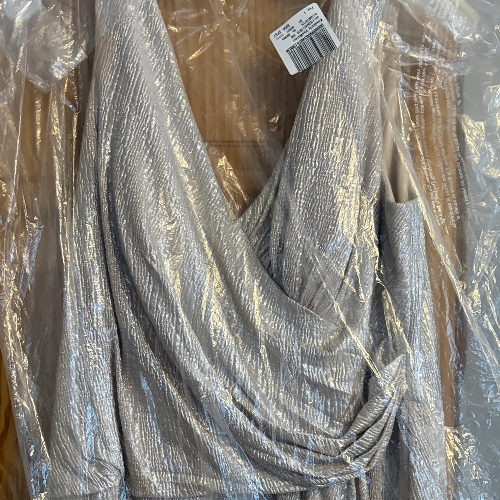 Oleg Cassini Shimmering Silver Dress